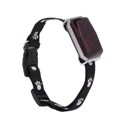 Smartpaws Gps Pet Tracker - Day Trip So Cal