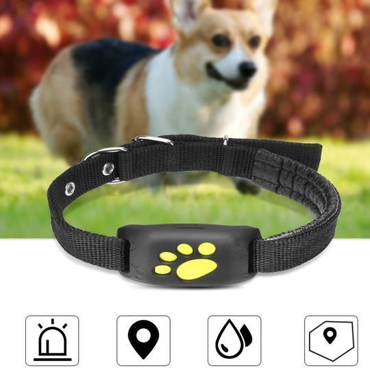 Pet Trackmaster: The Ultimate Gps Pet Tracker - Day Trip So Cal