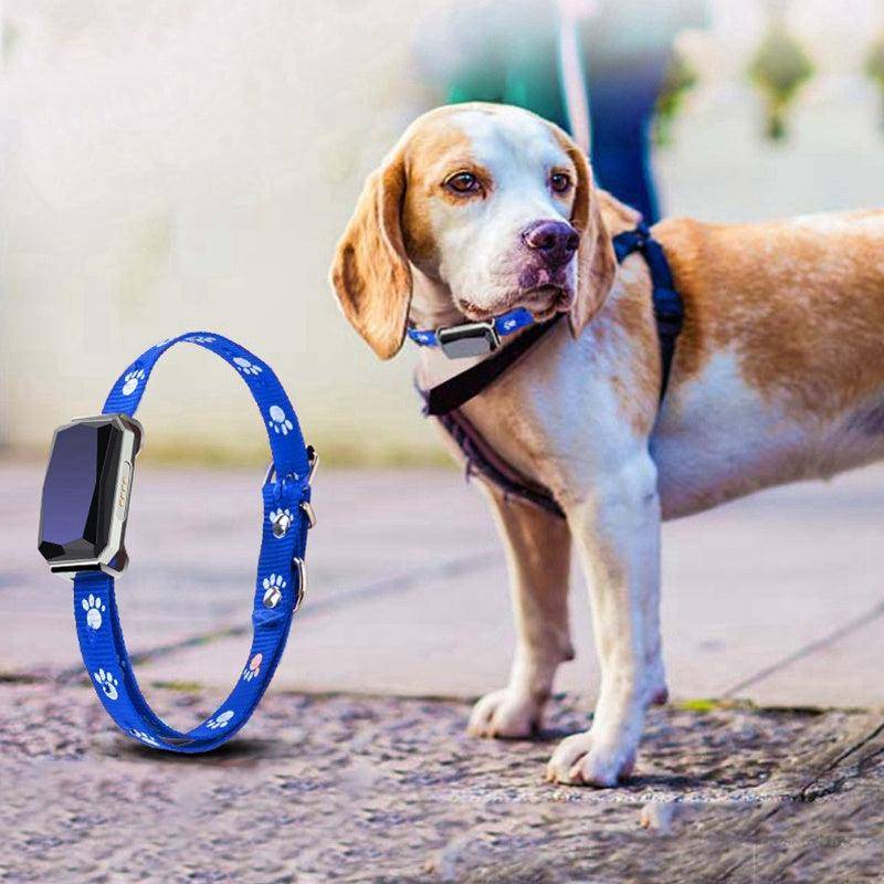 Smartpaws Gps Pet Tracker - Day Trip So Cal