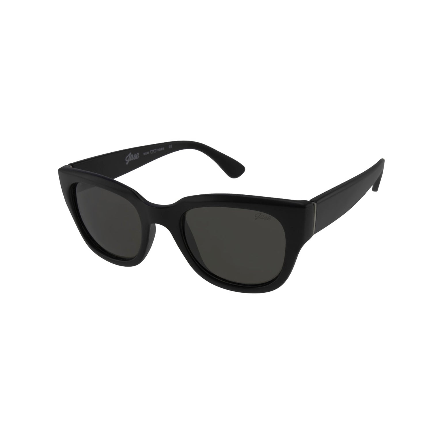 Jase New York Delano Sunglasses in Matte Black - Day Trip So Cal
