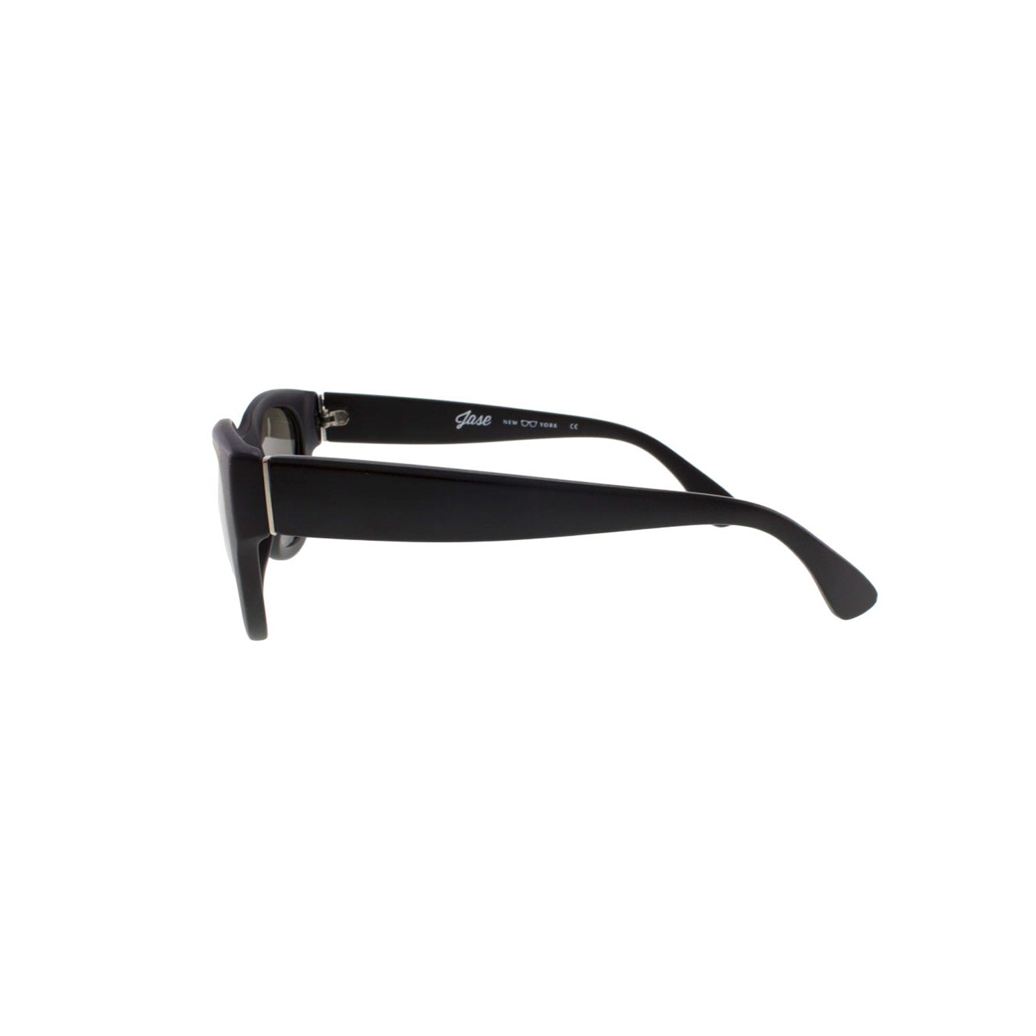 Jase New York Delano Sunglasses in Matte Black - Day Trip So Cal